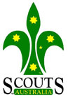 scout logo